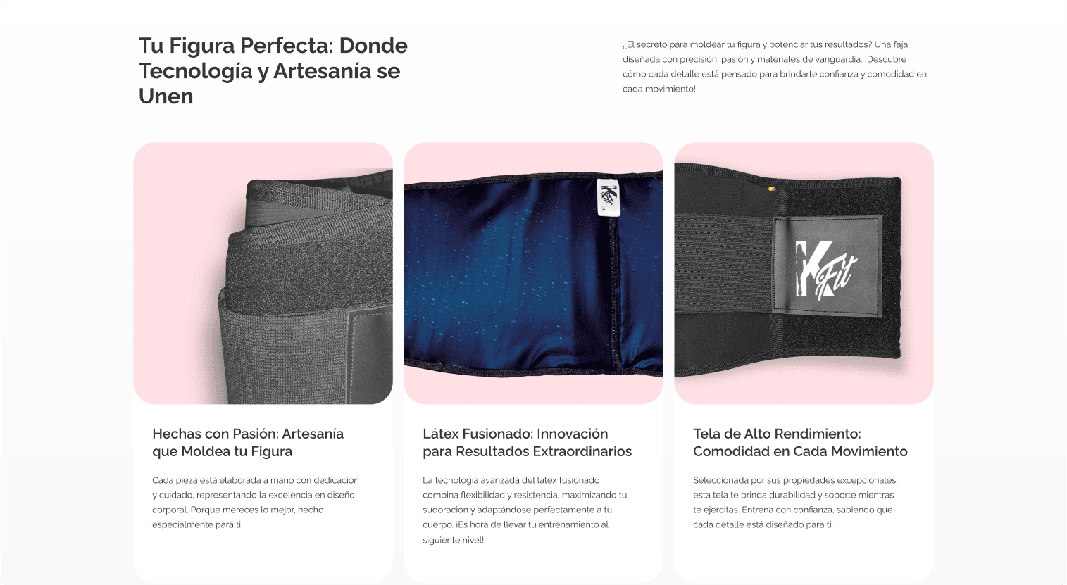 Sección web programada con funcionalidades características del producto